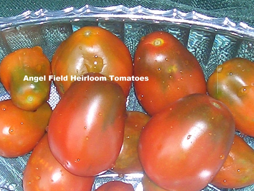 Heirloom Tomato Seeds, Garden Seeds, Heirloom Plants, and Vegetable Seeds